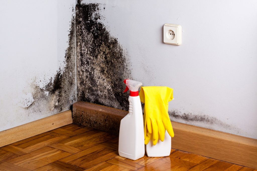 Mould on wall in social housing with cleaning products and rubber gloves.